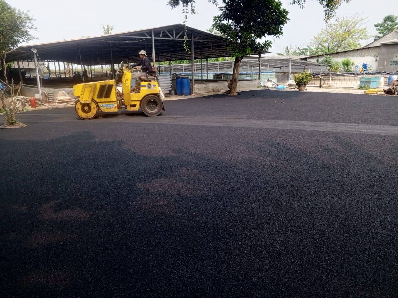 Home WhatsApp Image 2025 08 30 At 19.15.41